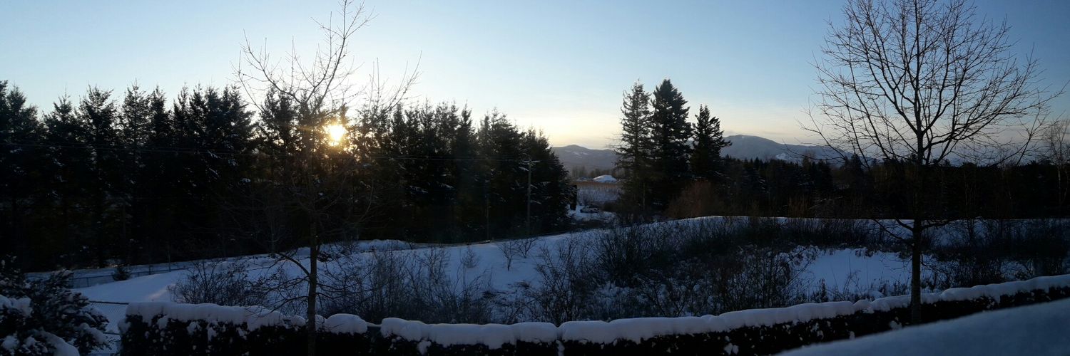 jayesci's profile banner image