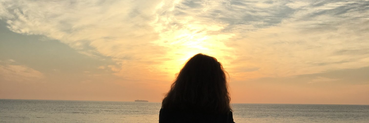 merbear147's profile banner image