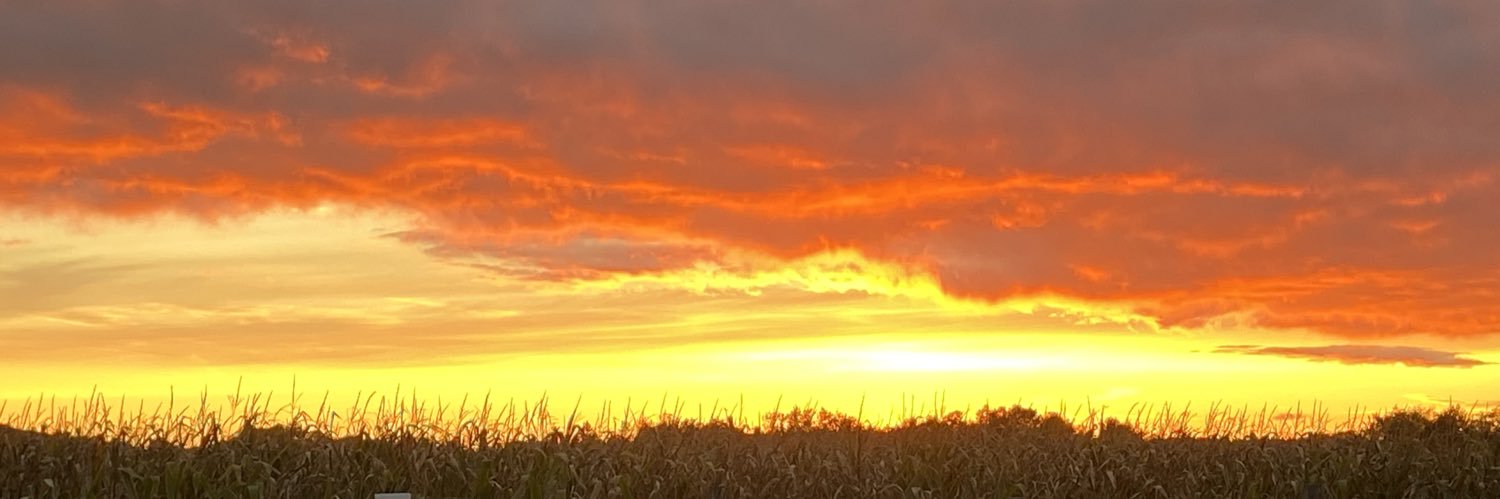 Agnes229's profile banner image