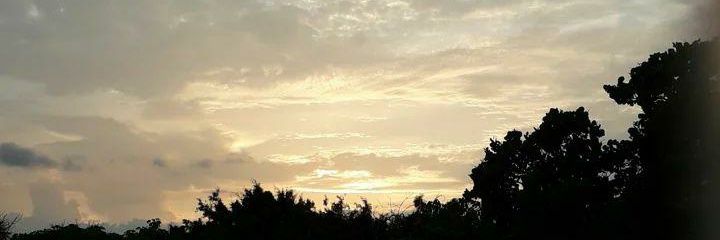 JuliethMendozaP's profile banner image