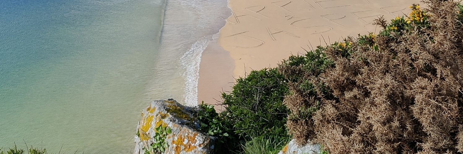 roo_parsons's profile banner image