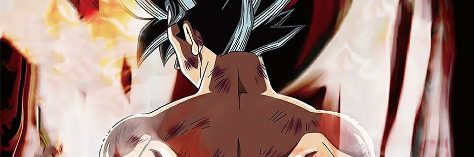 HalblaubRolando's profile banner image