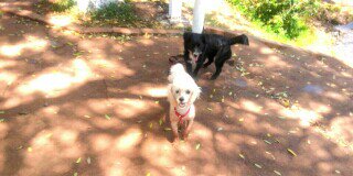 nancy_roballo's profile banner image