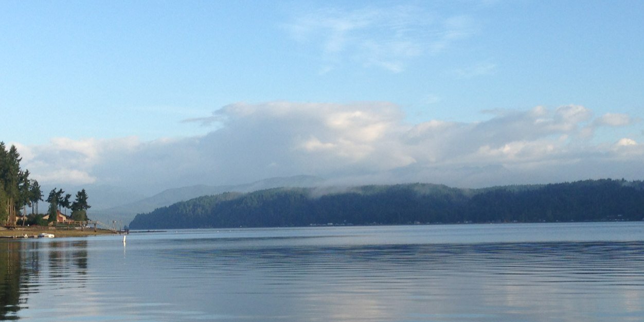 ellenbolen's profile banner image