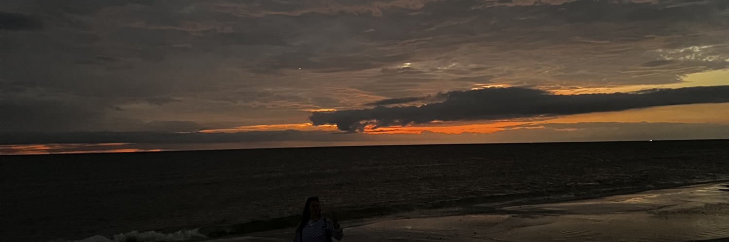 ryleentaylor's profile banner image