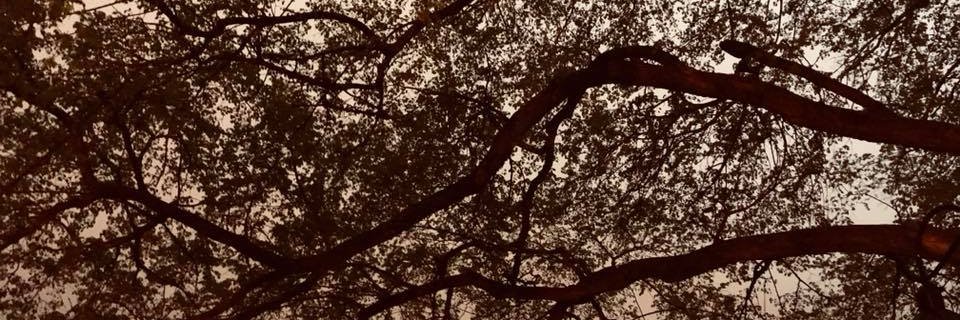 KarlEgbert's profile banner image