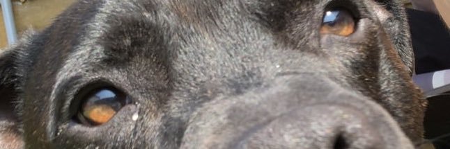 kaneethomas_'s profile banner image