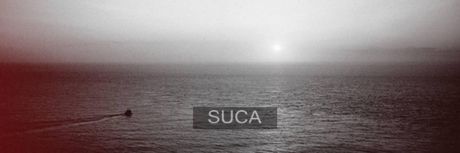 uncinofigdr's profile banner image