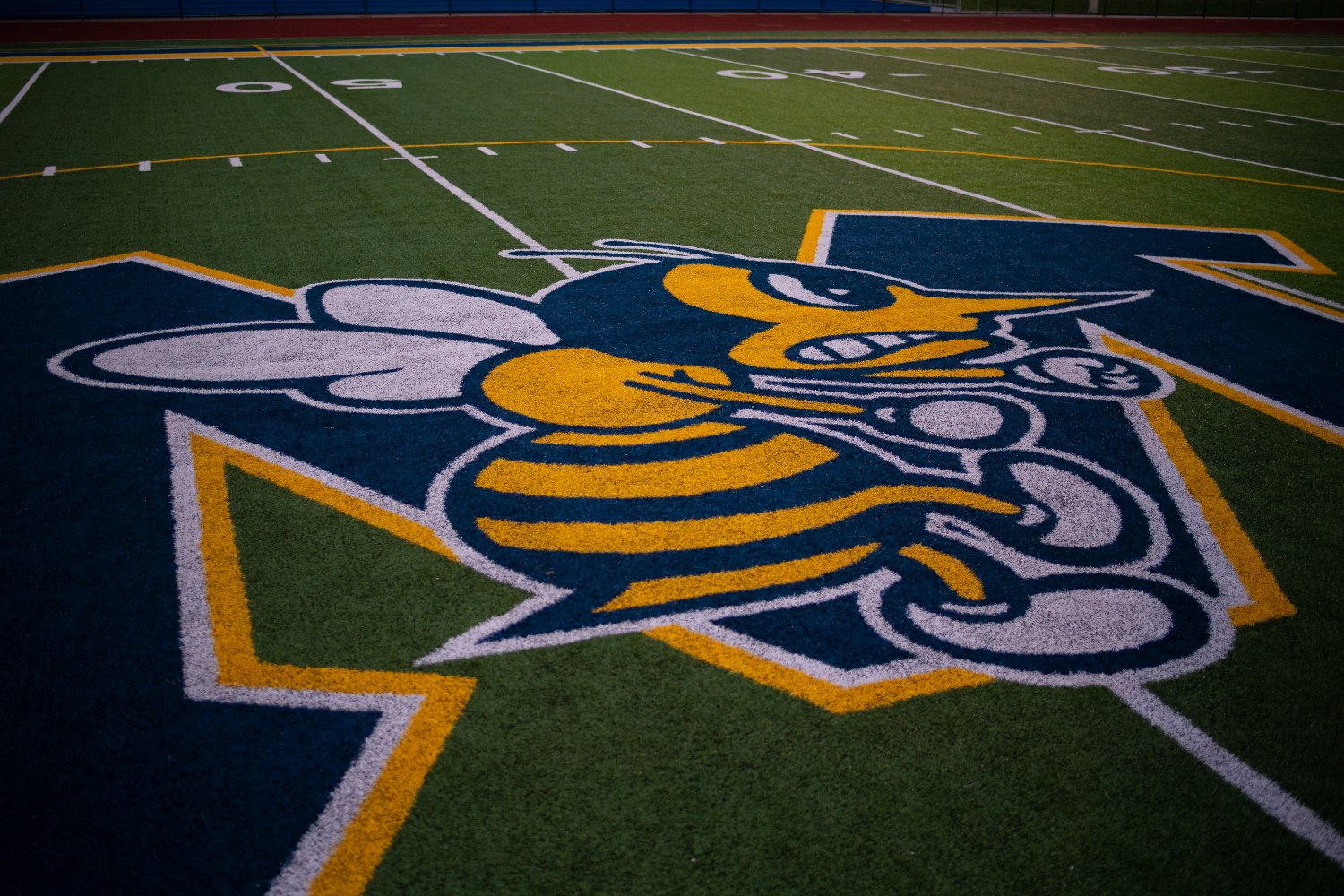 Monroe Athletics banner