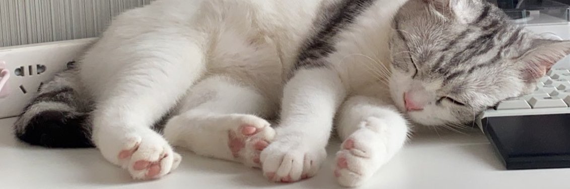 catmighty's profile banner image