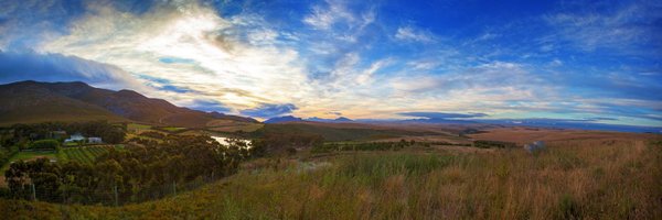 ElimWines Profile Banner