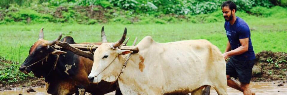prateekssingh_'s profile banner image