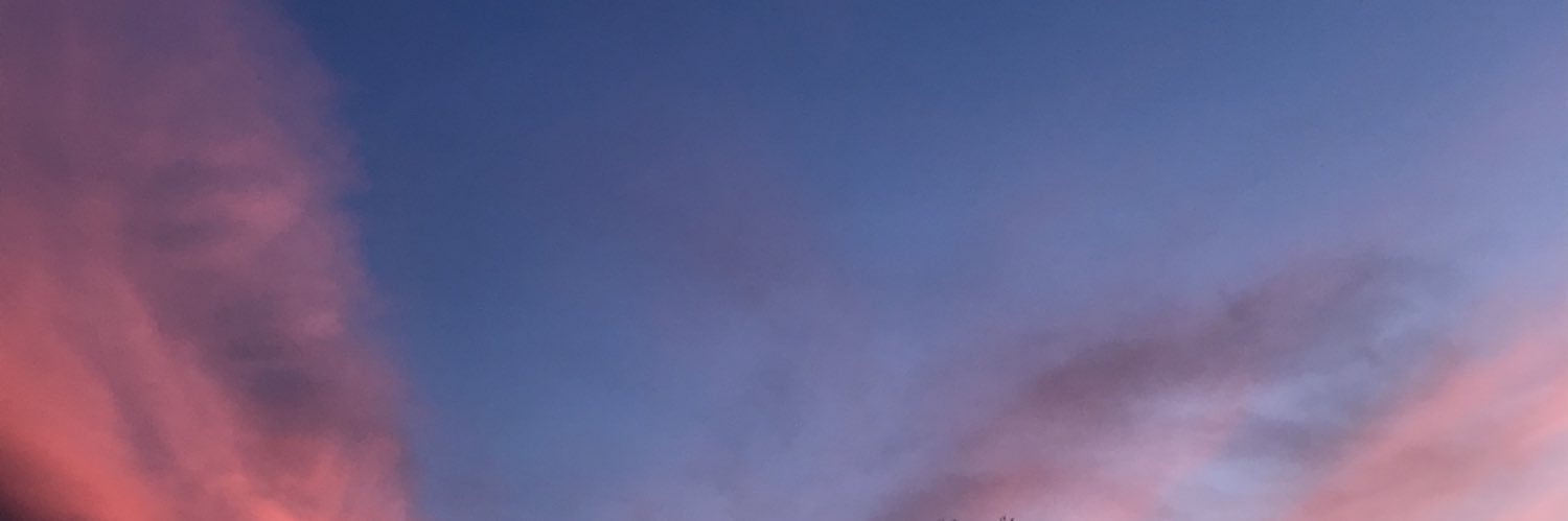 Suzonarnt's profile banner image