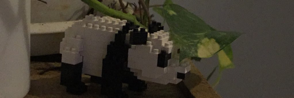 tebbydd's profile banner image
