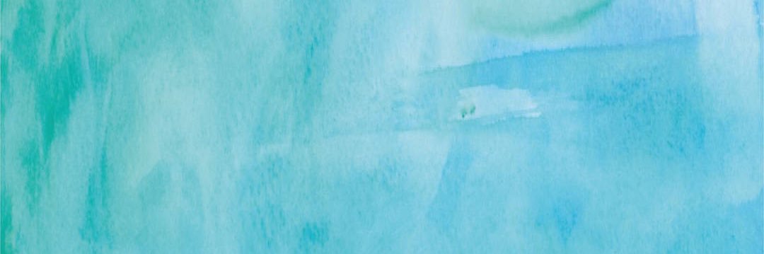 Lindsey Volney banner