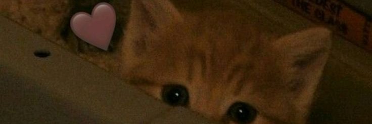 Diana ✨ FREE OF banner