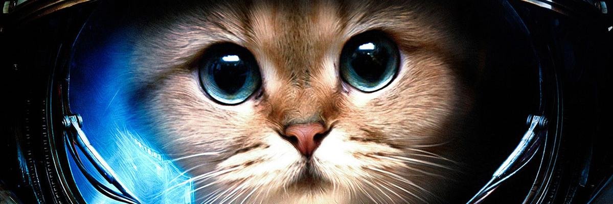 Donzismon's profile banner image