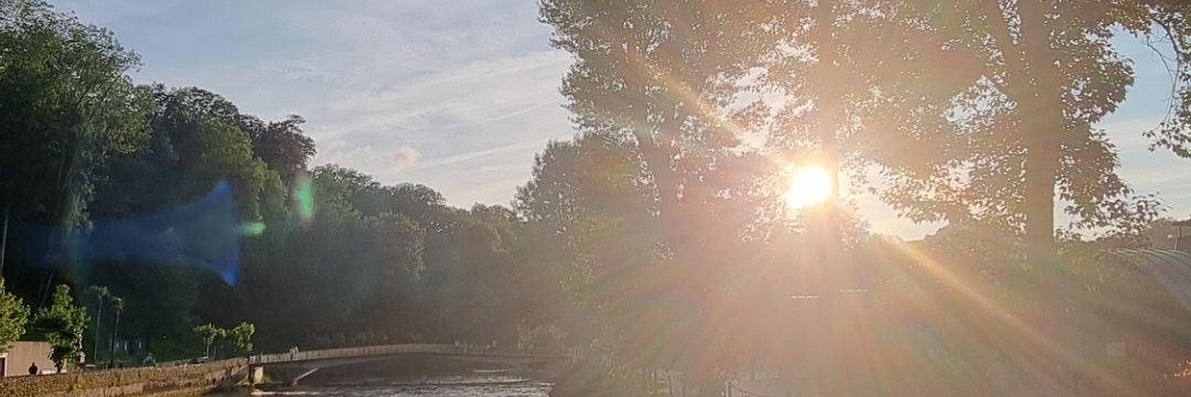 crizv's profile banner image