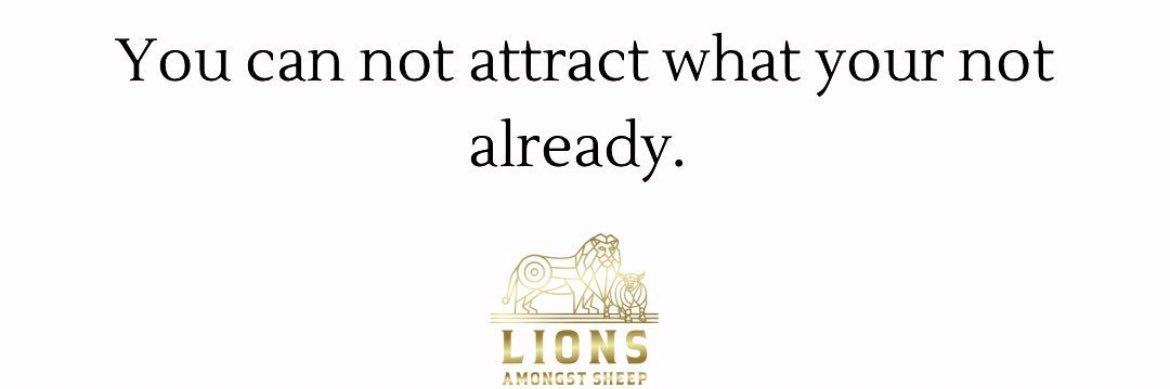 From the 9🦁 banner