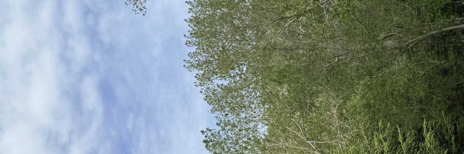 baddenem's profile banner image