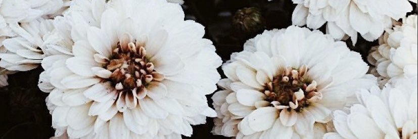Gthjulie's profile banner image
