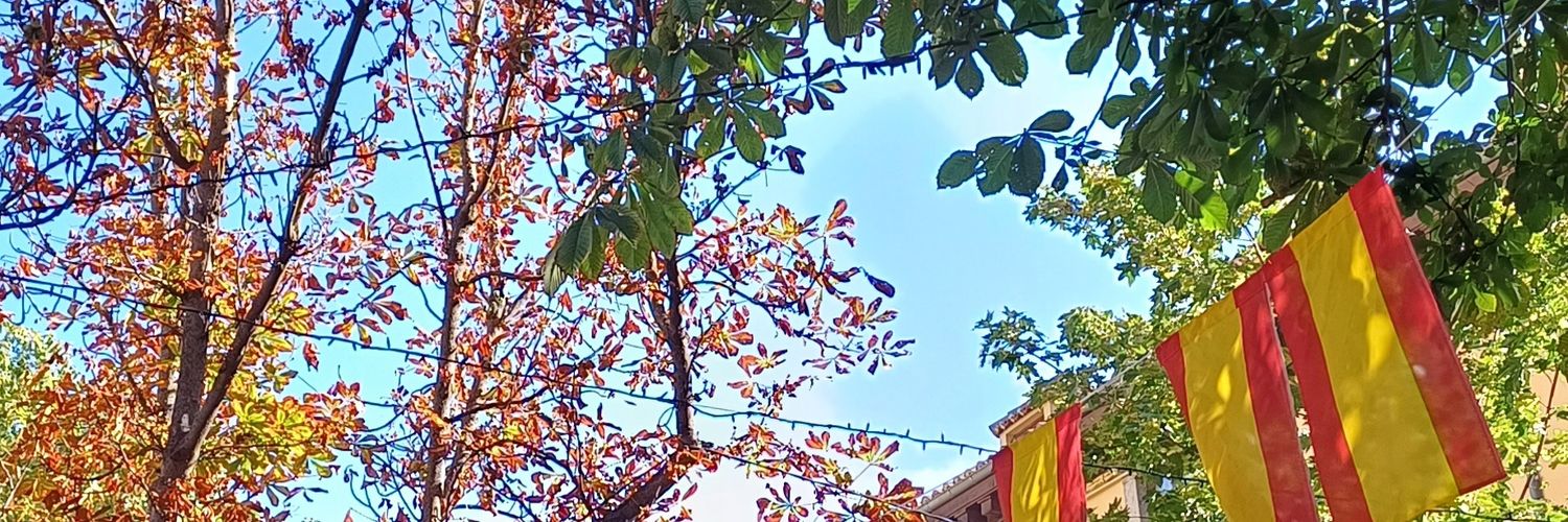 lpamesantos's profile banner image
