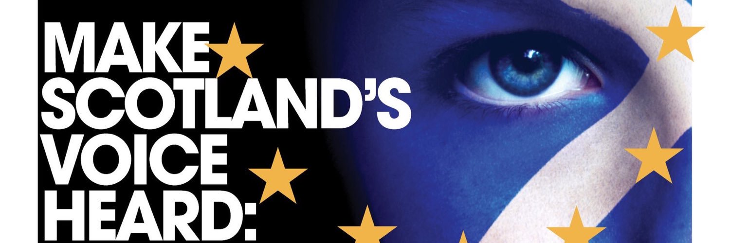 coilleduine's profile banner image