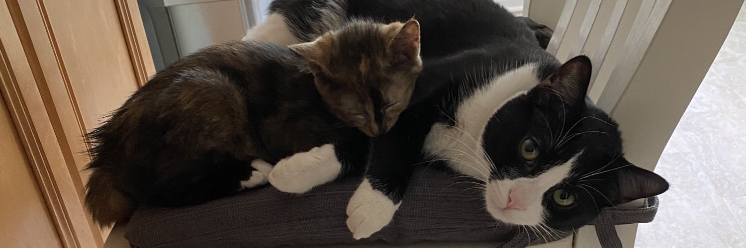 AllisonC1249's profile banner image