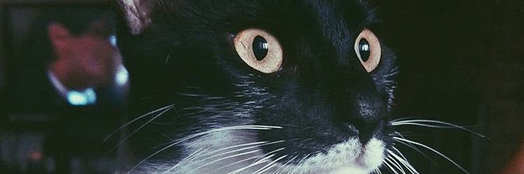 AfterChabom's profile banner image