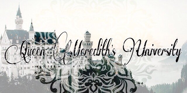 RPGMEREDITH's profile banner image