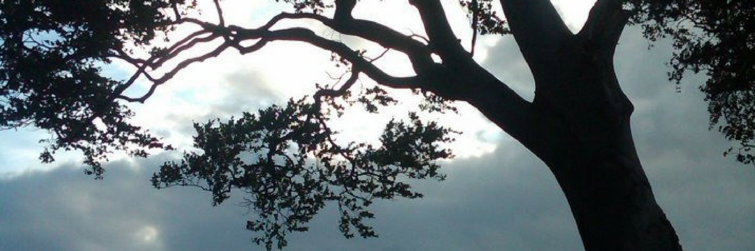 hlwrites0490's profile banner image