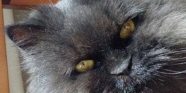 martinez_calvom's profile banner image