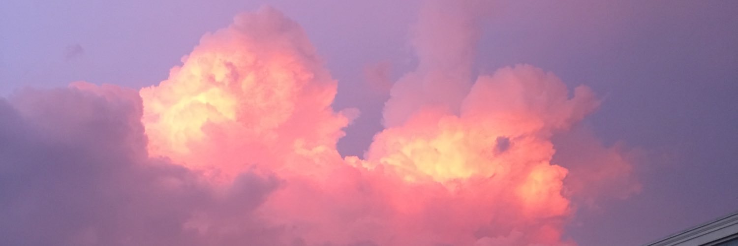 sylviakraiger's profile banner image
