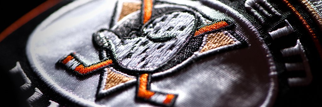 dglaremin's profile banner image
