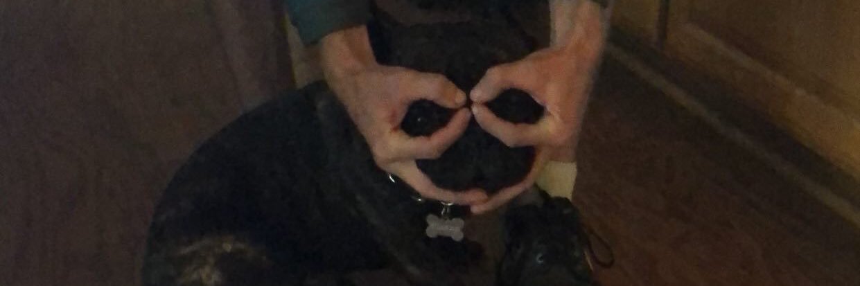 MalevolenTurkey's profile banner image