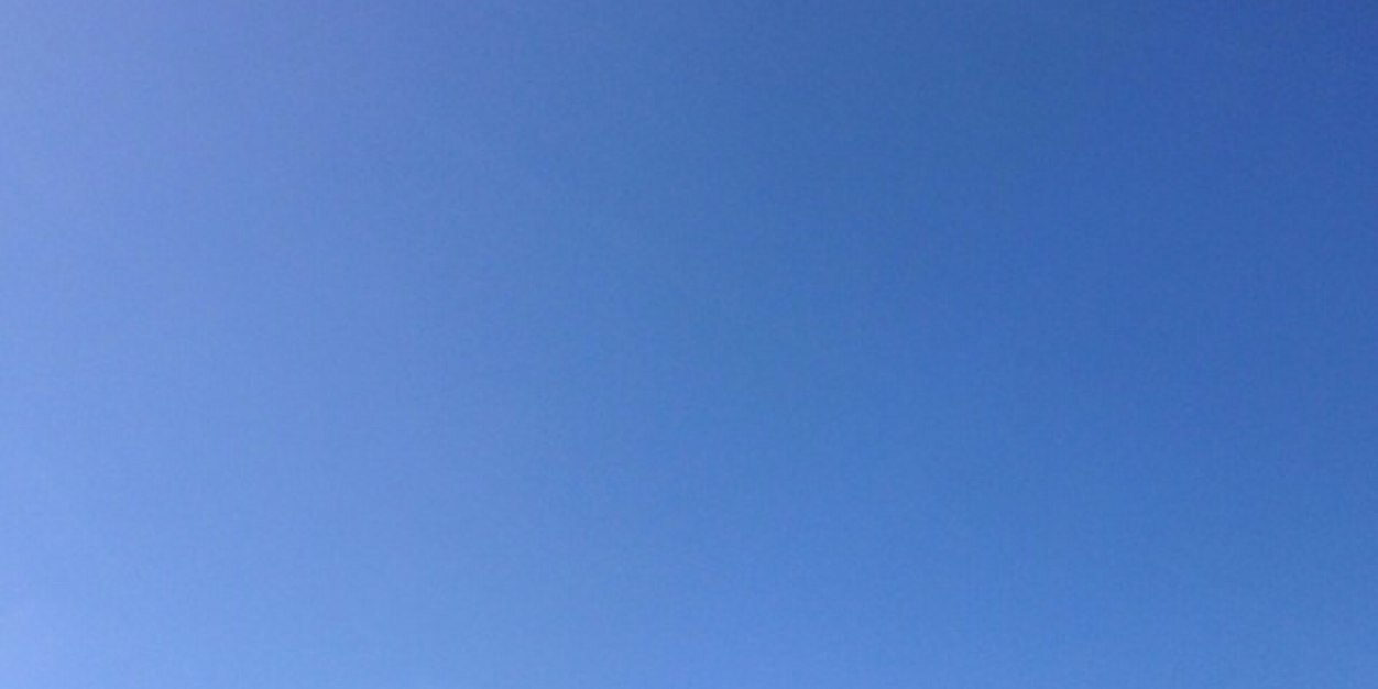 oscarpaoli's profile banner image