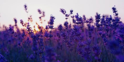 leonnnz's profile banner image