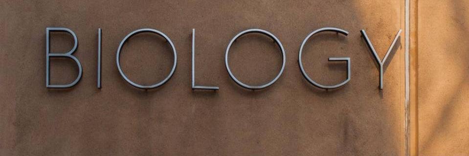 biyologistik's profile banner image