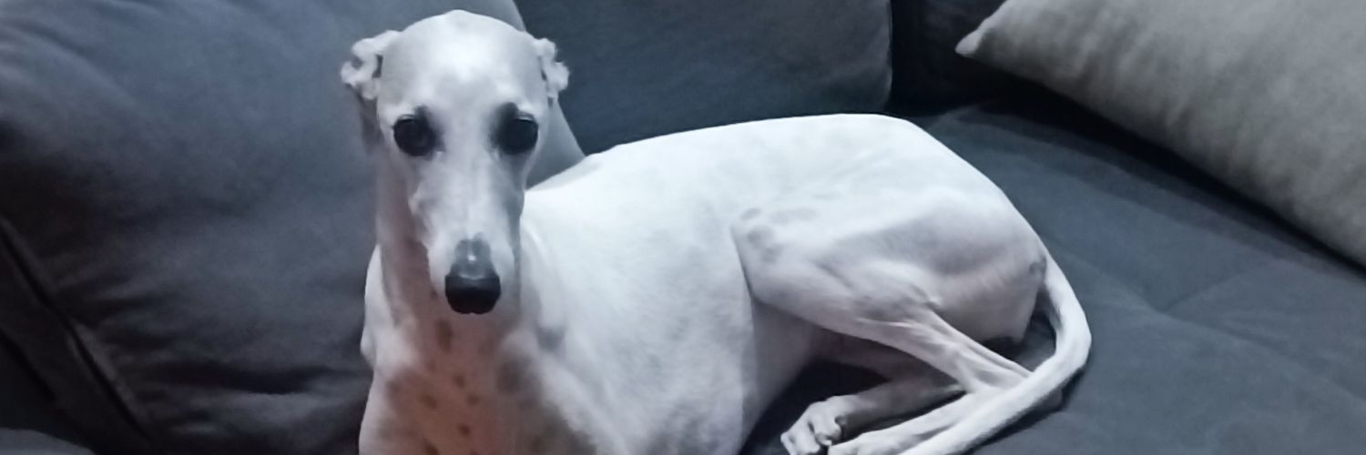 jfcanop's profile banner image