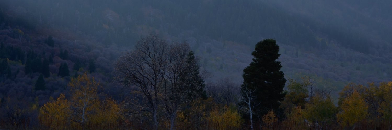 AspenByee's profile banner image