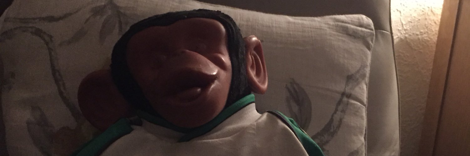 paddump's profile banner image