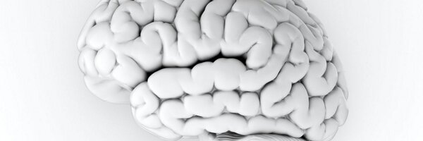 dendriticspine Profile Banner