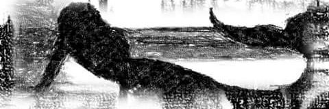 Hobbinol's profile banner image