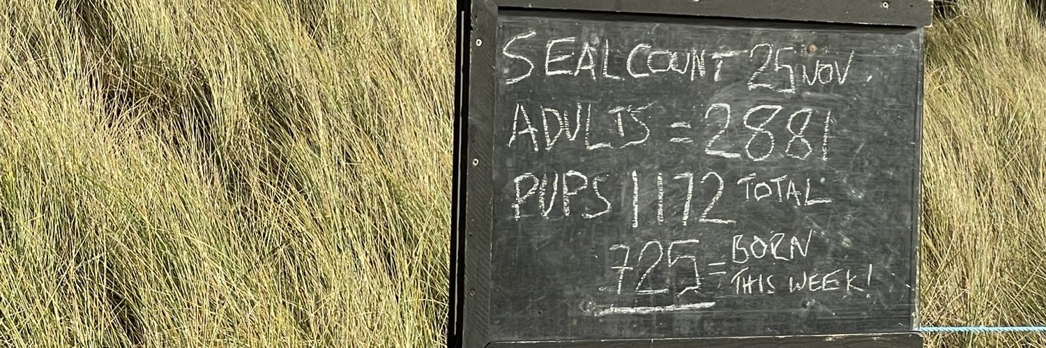 Cecilia Mascolo🇪🇺🇬🇧 banner