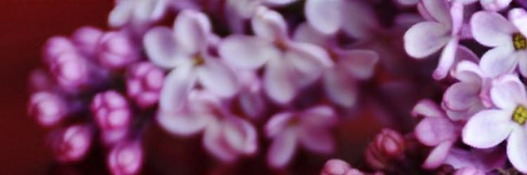 Bluriris's profile banner image