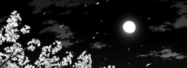 plushlunaaa62's profile banner image