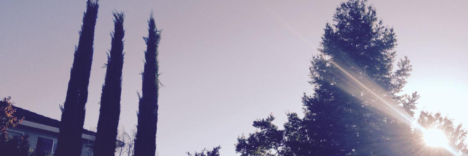 bertosaurus2's profile banner image
