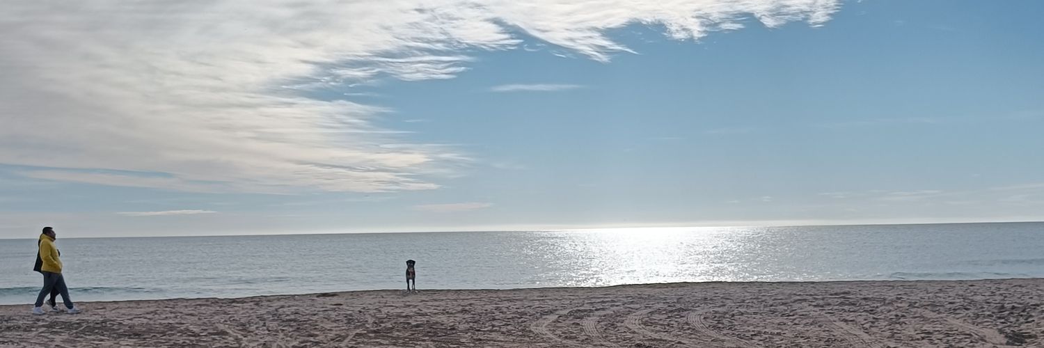 dnavarroso's profile banner image