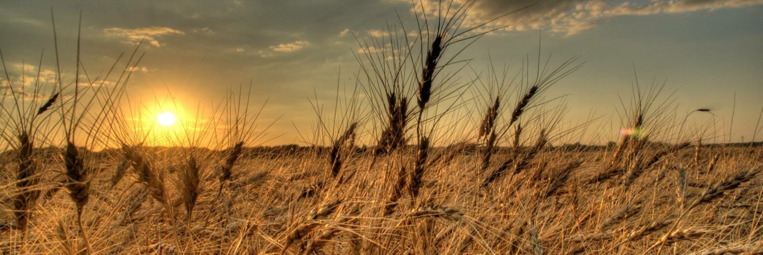 LesleyFayB83's profile banner image