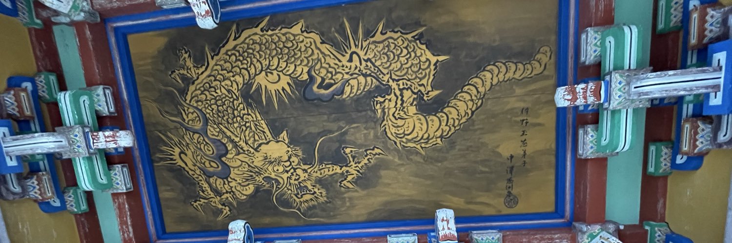 shellmamacool's profile banner image